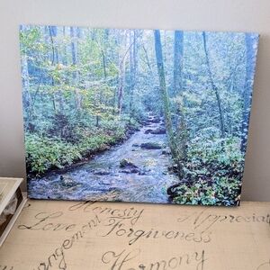 Beautiful Blue Ridge Mountain, GA Canvas Wall Art - 12 x 16
